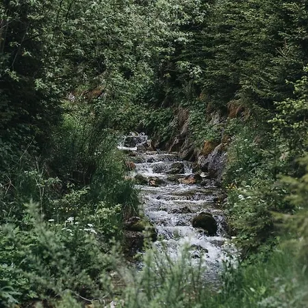 Vaya Achensee מלון