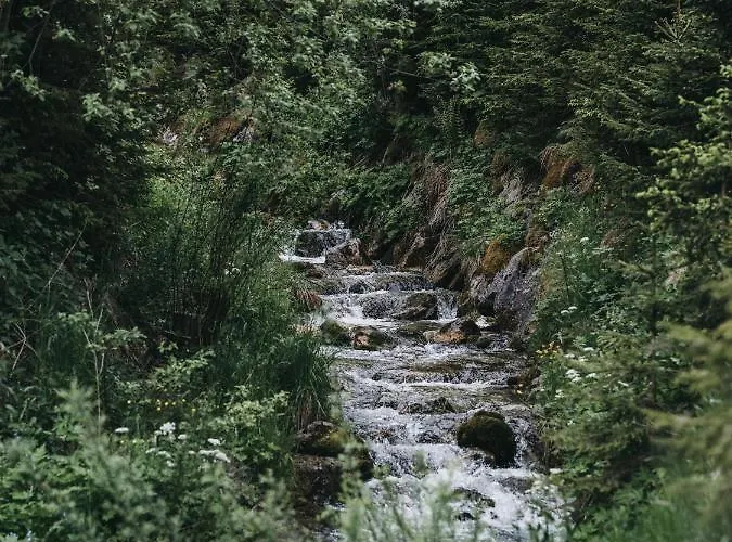 Vaya Achensee מלון